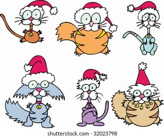 christmas cat