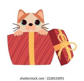 christmas cat in gift icon isolated