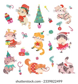 Christmas cat, holiday cats wear sweater and scarf. Ornamental xmas clothes for pets, funny winter kitten with gifts, nowaday vector animal clipart