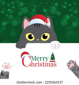  Christmas Cat Kitten cartoon character. Merry Christmas illustrations of cute cats.  For winter and Christmas. Christmas card