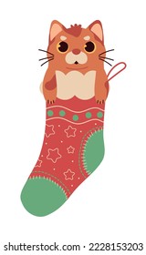 christmas cat in sock icon isolated