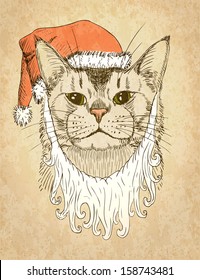 Christmas Cat. Vector illustration, eps10.