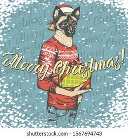 Christmas cat vector illustration. Cat in human wear with gift and lettering merry Christmas