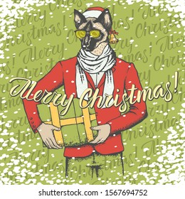 Christmas cat vector illustration. Cat in human wear with gift and lettering merry Christmas