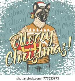 Christmas cat vector illustration. Cat in human wear with gift and lettering merry Christmas