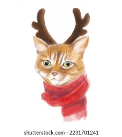 Christmas cat vector illustration, Merry Christmas painting of cute cat with accessories like a knitted hats, sweaters, scarfs