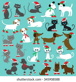 christmas cats and dogs