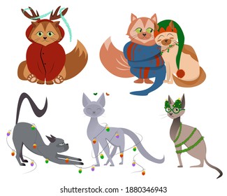 Christmas cats in garlands and with christmas elements. Character couple cat for New Year and ChristmasVector illustration