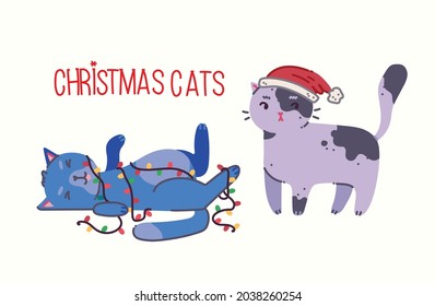 Christmas cats, Merry Christmas illustration of cute cats with accessories like a knited hat, sweater