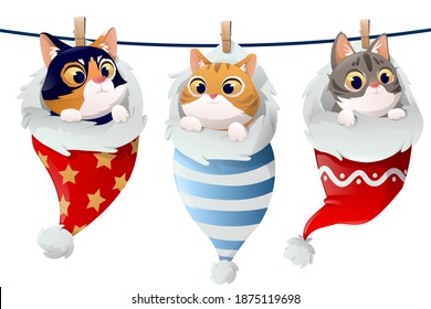 Christmas cats in socks. Happy cats sleeping in socks and a red bags. Christmas cats, Merry Christmas illustrations with  winter theme.Vector illustration
