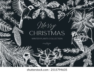 Fundo de Natal. Plantas de inverno vintage modelo de quadro. Árvores de coníferas, flores de inverno, esboços de pássaros. Ilustração de vetor desenhada à mão no quadro. NÃO gerado AI