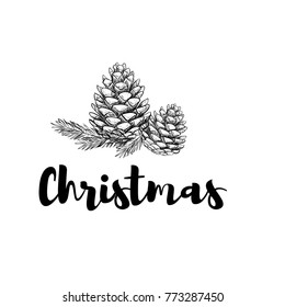 Christmas celebrating branch of a Christmas tree with cones. Happy Holidays greeting card, poster 