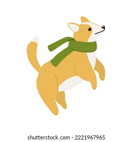 Christmas cheerful corgi dog in a green scarf vector illustration on white background for sticker, print, poster, postcard