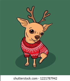 Christmas chihuahua dog cartoon illustration. Dog in sweater and antlers