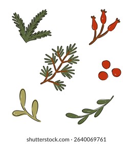 Christmas clip art set featuring vector botanical elements. Vector illustration