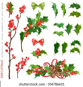 Christmas Collection of decorative vector leaves holly and branches with winter red berries, for your design.