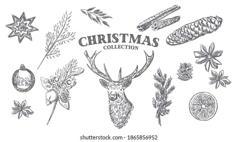 Christmas collection. Hand drawn. Vector elements.