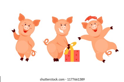 Christmas collection of pigs symbol of the new year. Characters for postcards, printing, banners. Vector illustration