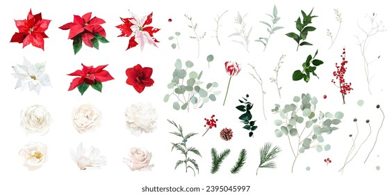 Christmas collection of red poinsettia, winter berry, cedar, emerald pine, eucalyptus. Big vector set. Merry Christmas and Happy New Year card elements. Hand drawn set isolated on white background