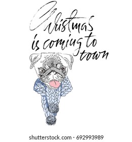 Christmas is coming to town. Handdrawn white and black modern dry brush lettering. Dog with knitted scarf. Cute pug portrait. Vector illustration.
