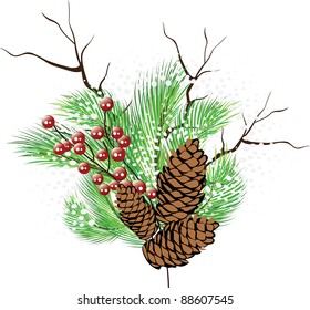 Christmas composition. Branches tree, branch with berries, cones, snow. Vector illustration.