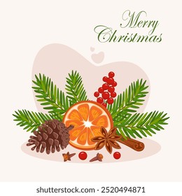 Christmas composition. Conifer branches with orange vector illustration. Pine cone, spruce, fir tree branches, cinnamon and rowan. Stock winter nature clipart isolated on white.
