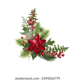 
Christmas composition flower spruce branches berries. Isolate, vector illustration.