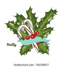 Christmas composition of holly and candy. Vector illustration.