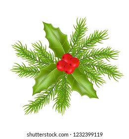 Christmas composition with holly green leaves and red berries. Vector illustration