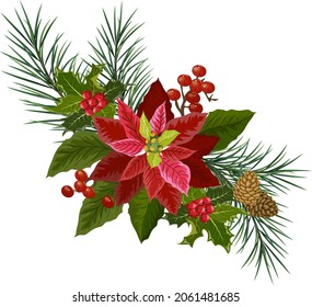 Christmas composition on a transparent background.Christmas tree branches with cones, red berries and a Christmas flower on a transparent background in color vector illustration.