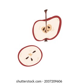 Christmas concept. hand drawn doodle ingredients for mulled wine. half of red apple and sliced red apple. isolated vector illustration on white background