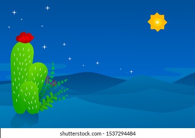 Christmas concept of shining star at desert in night