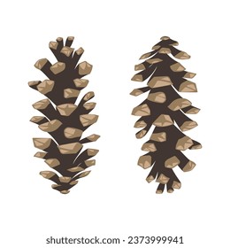 Christmas cones. Decoration. Vector graphics