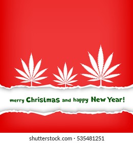 Christmas congratulation torn red paper and frame with the message of greetings on white background. Growing cannabis hemp marijuana white leaf