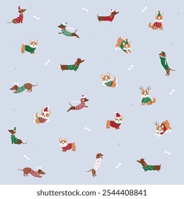 Christmas corgi in ugly sweaters. Dachshund digs in winter. Pattern with Corgis. Cute dachshund dog, puppy in winter costume. Funny christmas print