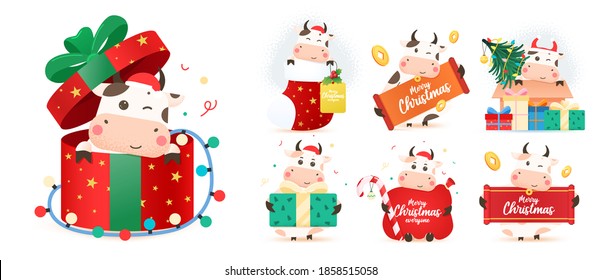 Christmas Cow kit. 2021 year of the ox. Big set of different Happy bulls. Chinese year of Ox 2021. Year of the bull. Bundle for Christmas greeting card, Merry Christmas and happy new year.