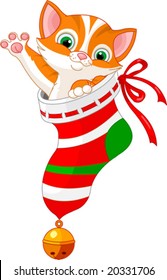 christmas cute cat in gift sock