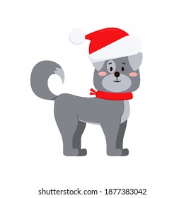 Christmas cute dog isolated on white background. Grey domestic happy puppy in red scarf and santa claus hat. Flat design cartoon style xmas holiday animal character vector illustration.