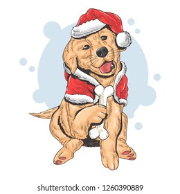 CHRISTMAS CUTE PUPPY SANTA CLAUS