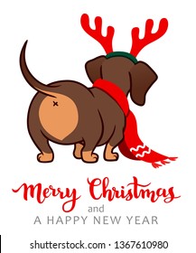 Christmas dachshund puppy dog vector cartoon illustration. Cute wiener sausage dog  wearing red scarf and antlers. Funny doxie butt, pets, dog lovers, children, animal themed Christmas greeting card.