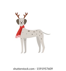 Christmas dalmatian - dog wearing deer antlers and red festive scarf isolated on white background. Cute domestic animal in holiday costume - flat vector illustration.