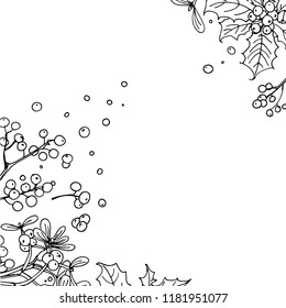 Christmas decor, plants line drawn on a white background. Sketch of berries and leaves. Winter berries, mistletoe, holly