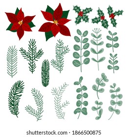 Christmas decor vector winter decorations. Twigs and leaves, winter berries, holly, eucalyptus, christmas star