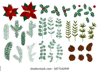 Christmas decor vector winter decorations. Twigs and leaves, winter berries, holly, eucalyptus, Poinsettia