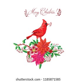 Christmas decoration with Bird and Poinsettia. Hand drawn sketches. Vector Illustration