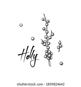 Christmas decoration element. Holly brunch with berries isolated on white background. Vector illustration in sketch style