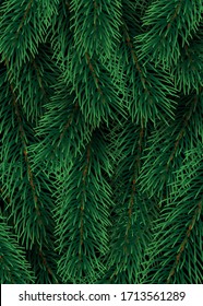 Christmas decoration element. Christmas tree branches background. Green colorful pine pattern. Vector illustration