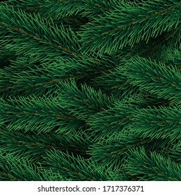 Christmas decoration element. Christmas tree branches background. Green colorful pine pattern. Vector illustration