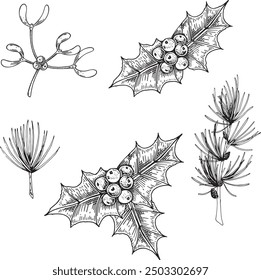 Vector de Elementos de decoración de Navidad. Bayas de acebo y hojas aisladas.