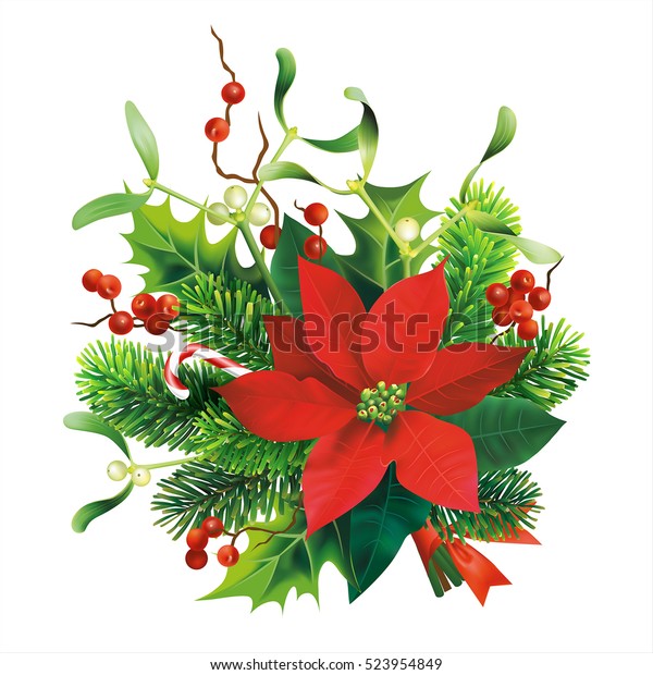 クリスマスの飾り付けには モミ ヤドリギ ヒラギの枝 ポインセチアの花がついています 白い背景に ベクターイラスト のベクター画像素材 ロイヤリティフリー
